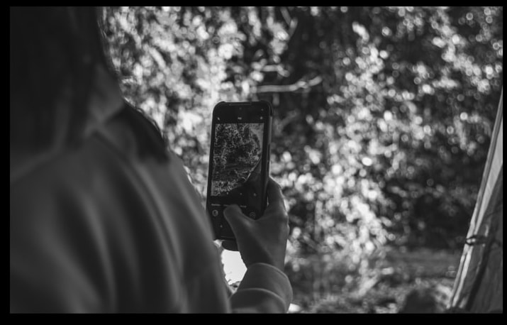 20MP
